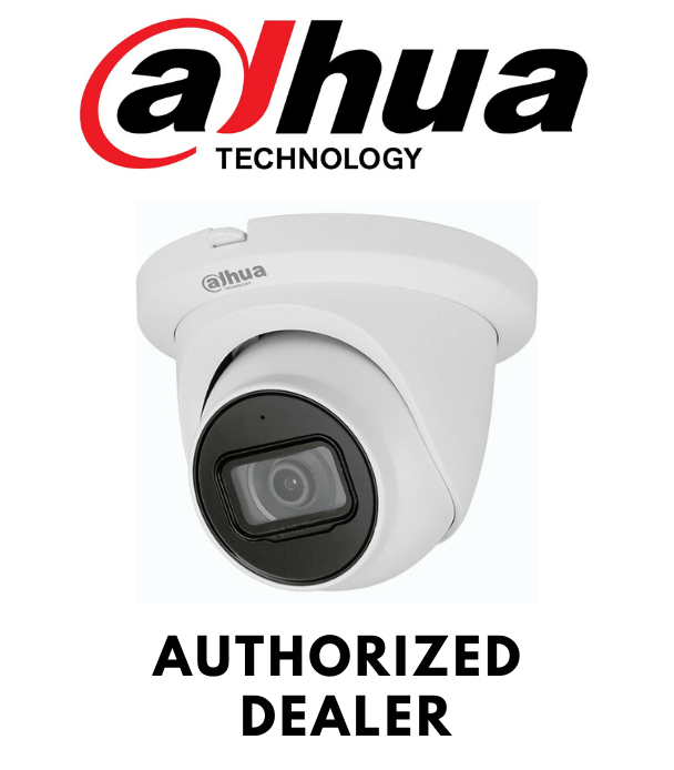 Dahua N45FJ62 4MP Eyeball Security Camera