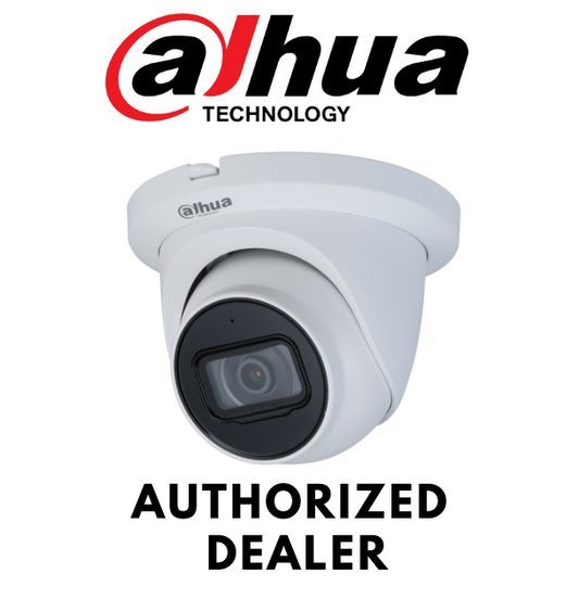 Dahua N42BJ62 4MP Eyeball Security Camera