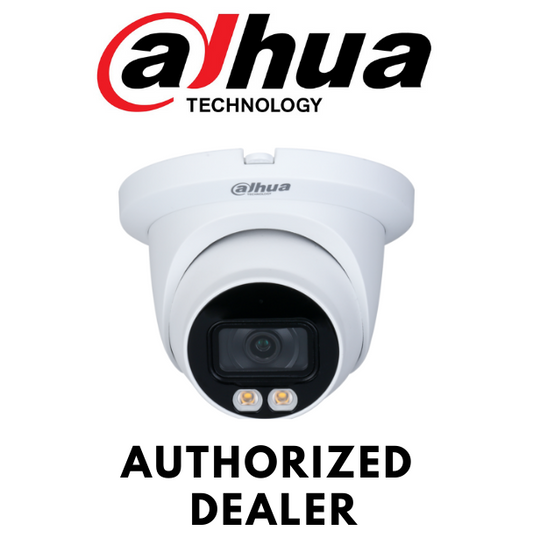 Dahua N43BJ62 4MP Eyeball Security Camera