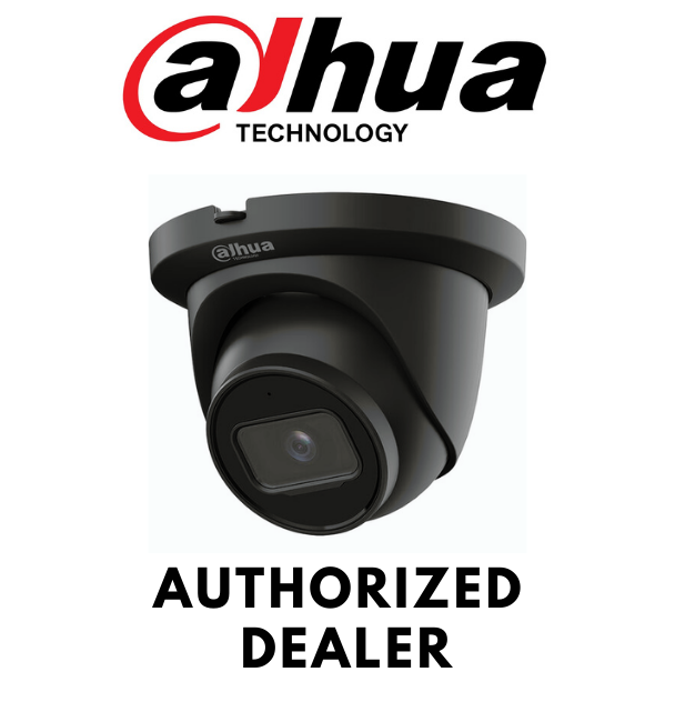 Dahua N43CG62-B 4MP Eyeball Security Camera