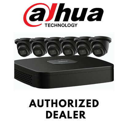 Dahua NB484E62B 4MP 8-Ch (6Eyeball Cameras+NVR) Security System