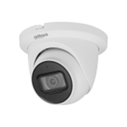 Dahua 4MP IP67 Audio AcuPick Starlight+Analytics Network Eyeball Security Camera