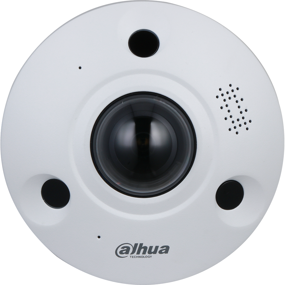 Dahua 8MP IP67,IK10 IR Audio Analytics+360° Panoramic Fisheye IP Security Camera